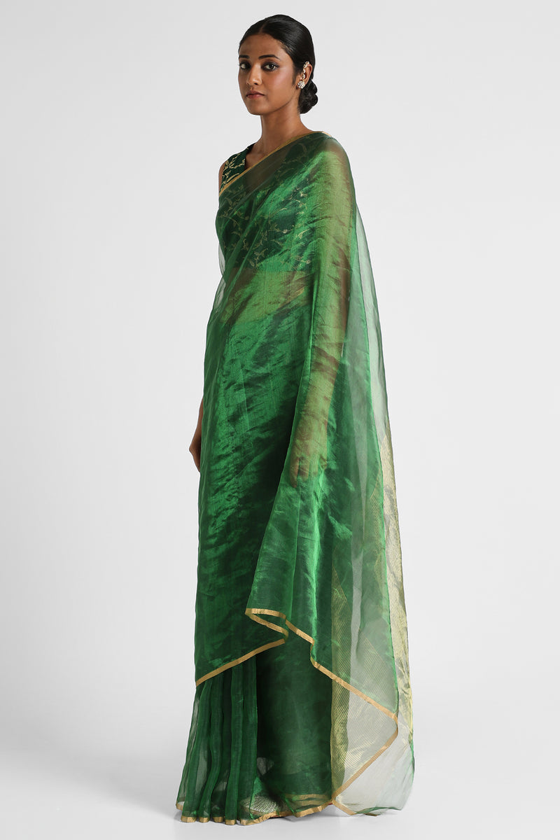 Light Green Tissue Silk Saree with Floral Thread Embroidered Work